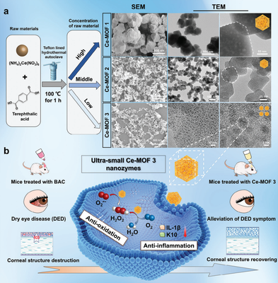 干眼治療新路徑!復(fù)旦團(tuán)隊研發(fā)納米酶"刷"掉過量眼表活性氧