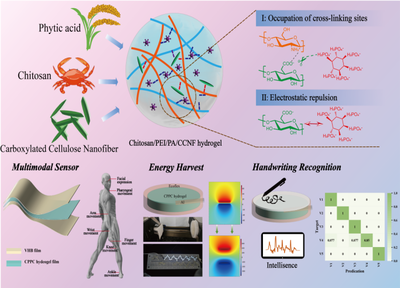 福建農(nóng)林大學黃彪教授團隊在生物質(zhì)先進材料研究與開發(fā)方面取得顯著進展